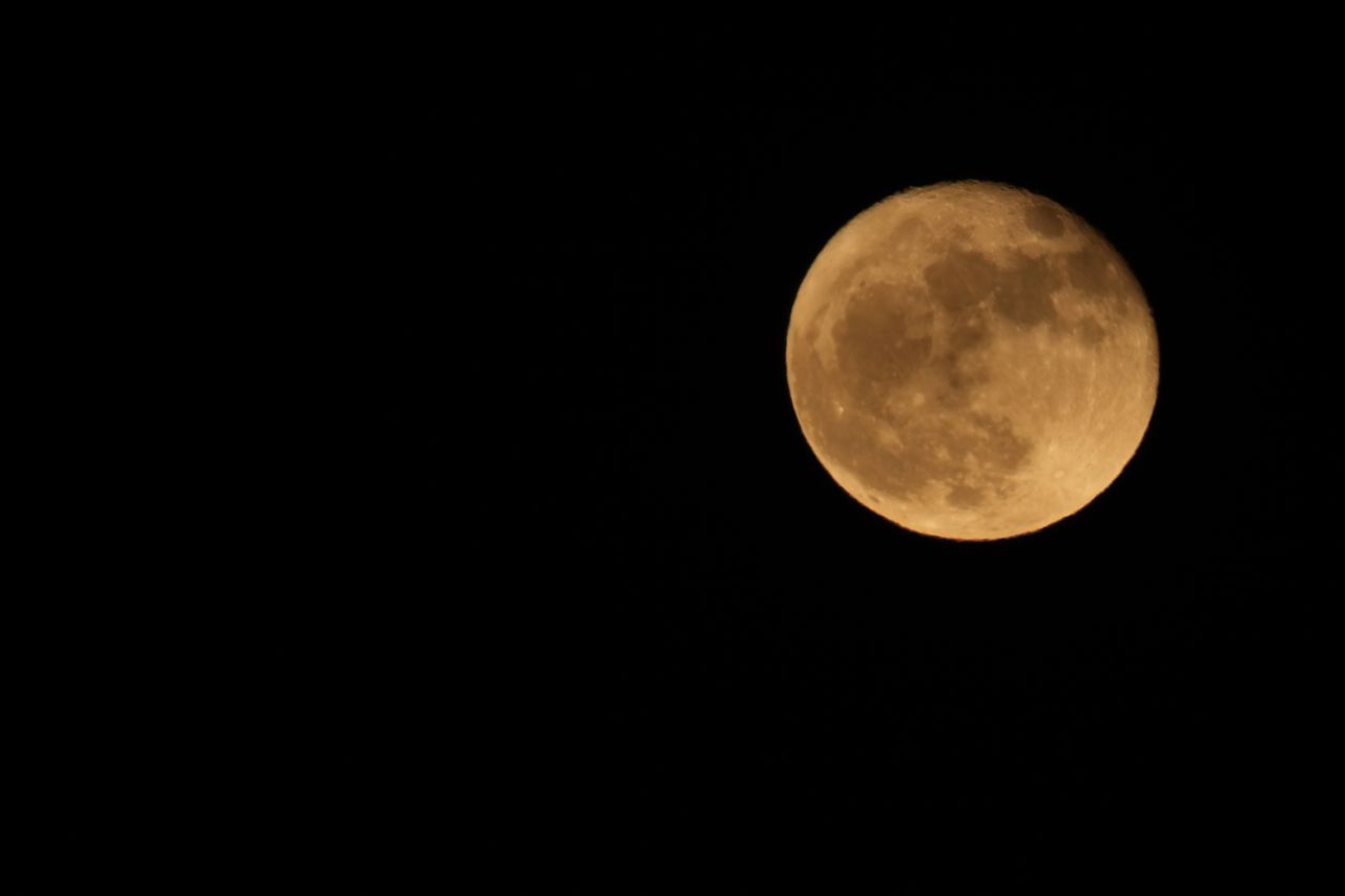 Sample image shot on the Sony A7R VI, unedited JPEG