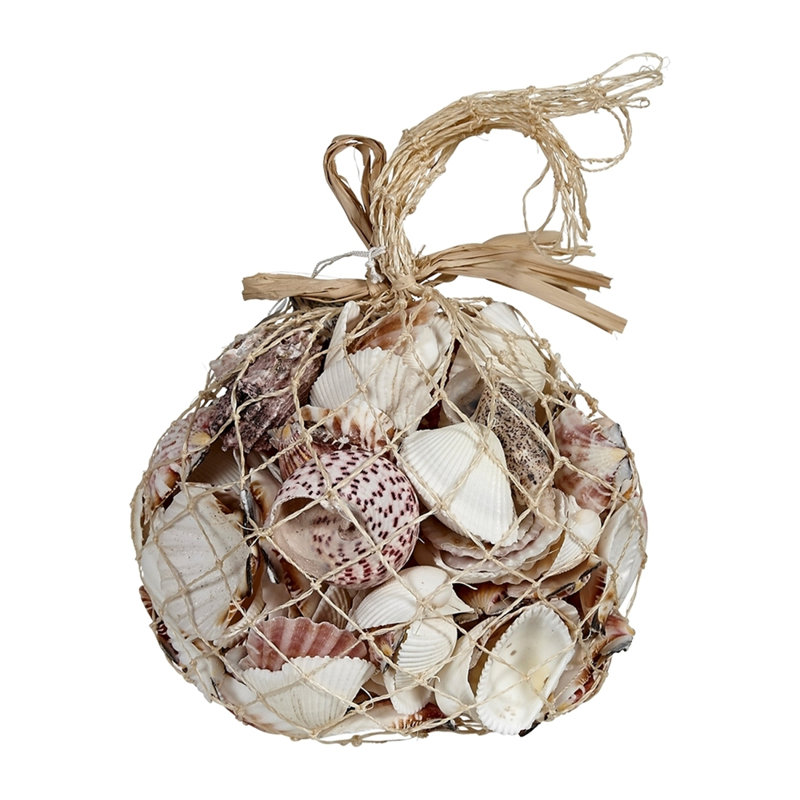 Rosecliff Heights Strawn Assorted Shells Mix in Abaca Net Bag | Wayfair