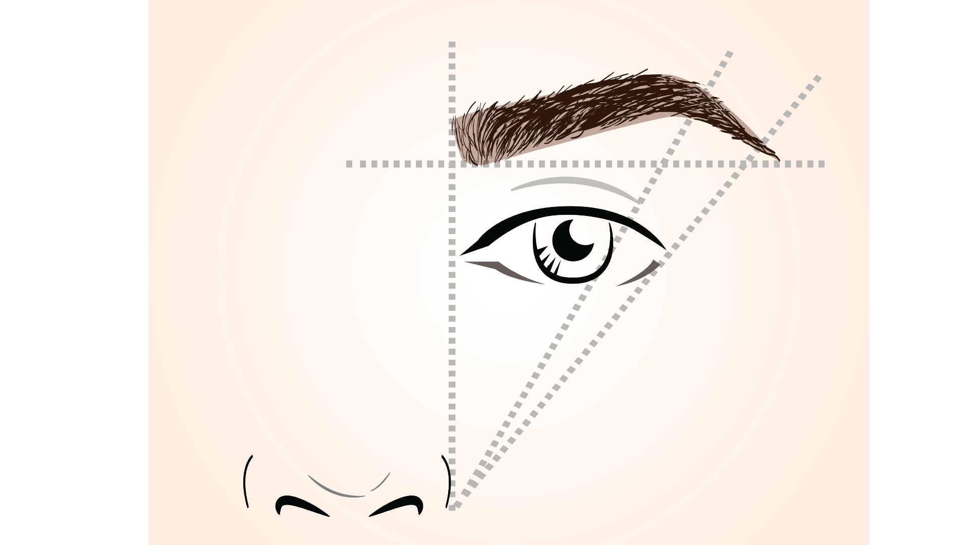 illustration of eyebrow