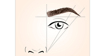 illustration of eyebrow