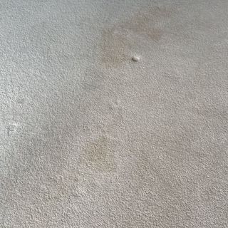 Carpet stains, ready to be cleaned