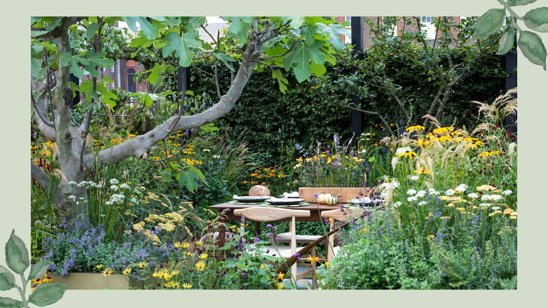 Framed image of a well established garden in summer with yellow and whites flowers and a large fig tree