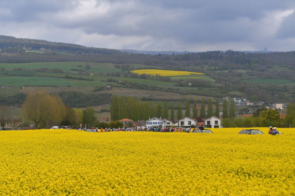 SAINTIMIER SWITZERLAND APRIL 29 The Peloton at start in La Neuveville Village during the 74th Tour De Romandie 2021 Stage 2 a 1657km stage from La Neuveville to SaintImier Flowers Landscape TDR2021 TDRnonstop UCIworldtour on April 29 2021 in SaintImier Switzerland Photo by Luc ClaessenGetty Images