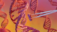 Illustration of a close up of a DNA double helix with tweezers next to it holding a small piece of the DNA, presumably a nucleotide. 
