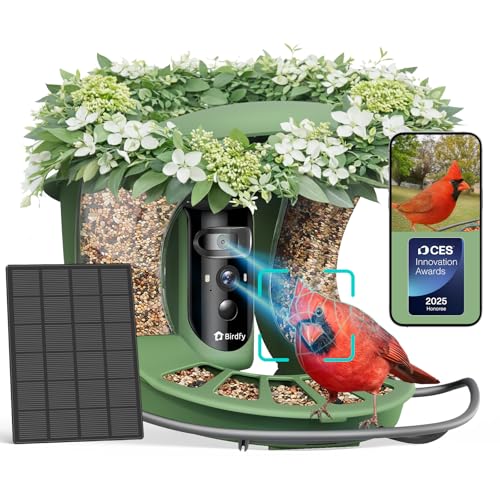 Birdfy 2 Smart Bird Feeder With Camera, Dual-Lens (2k+1080p) Camera for Live Streaming &amp;amp; Close-Up Photos, Ai Identifies Bird Species, Solar-Powered Backyard Birdwatching Gift