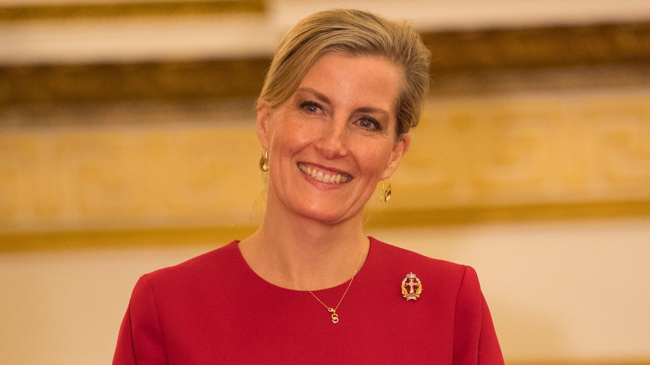 Duchess Sophie, wearing a red dress with bow sleeves, attends a reception to celebrate frontline nursing in the UK in 2018