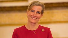 Duchess Sophie, wearing a red dress with bow sleeves, attends a reception to celebrate frontline nursing in the UK in 2018