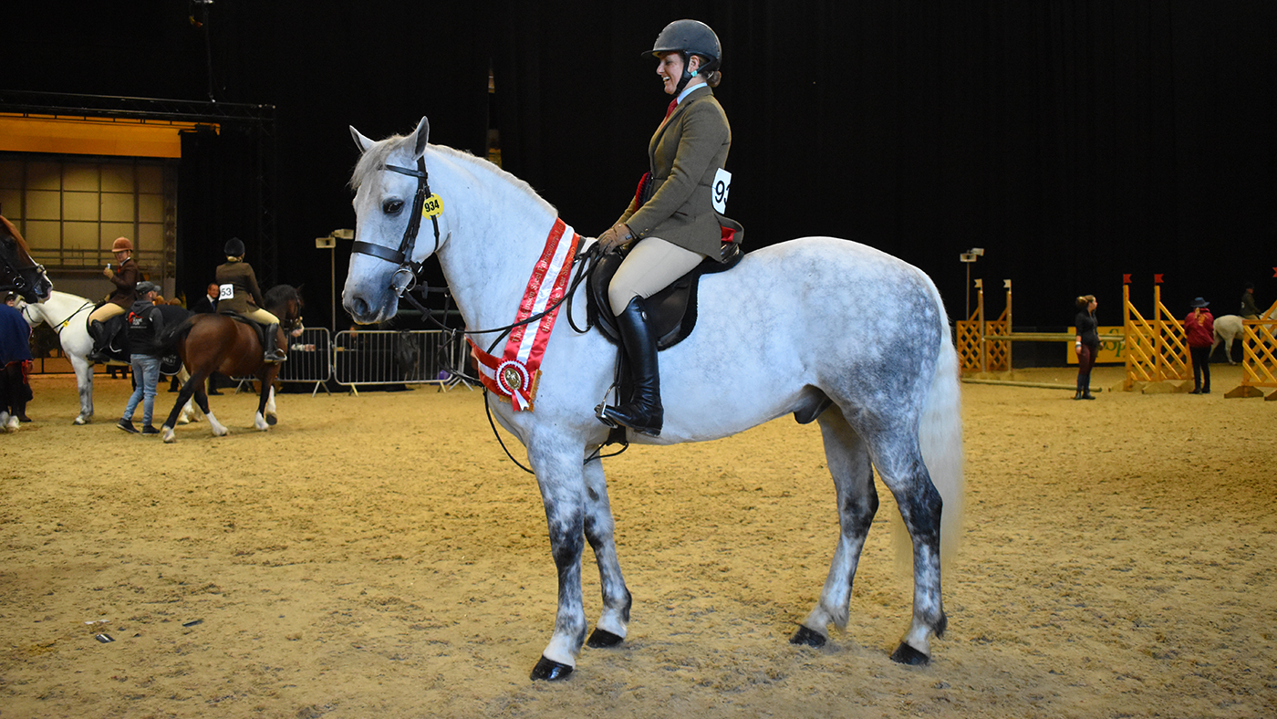 HOYS exceeding 143cm M&amp;M working hunter