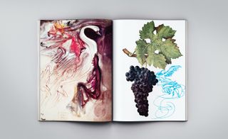 The Language of the Birds (left) & The Cabernet Sauvingnon, Y Troney, plate from the Atlas Vermorel (right)