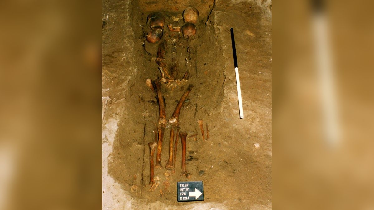 The six skulls of the &quot;Six-Headed Chief&quot; were found in a medieval grave in the Scottish Highland region of Easter Ross. Scientists have discovered most of the skulls came from relatives. 