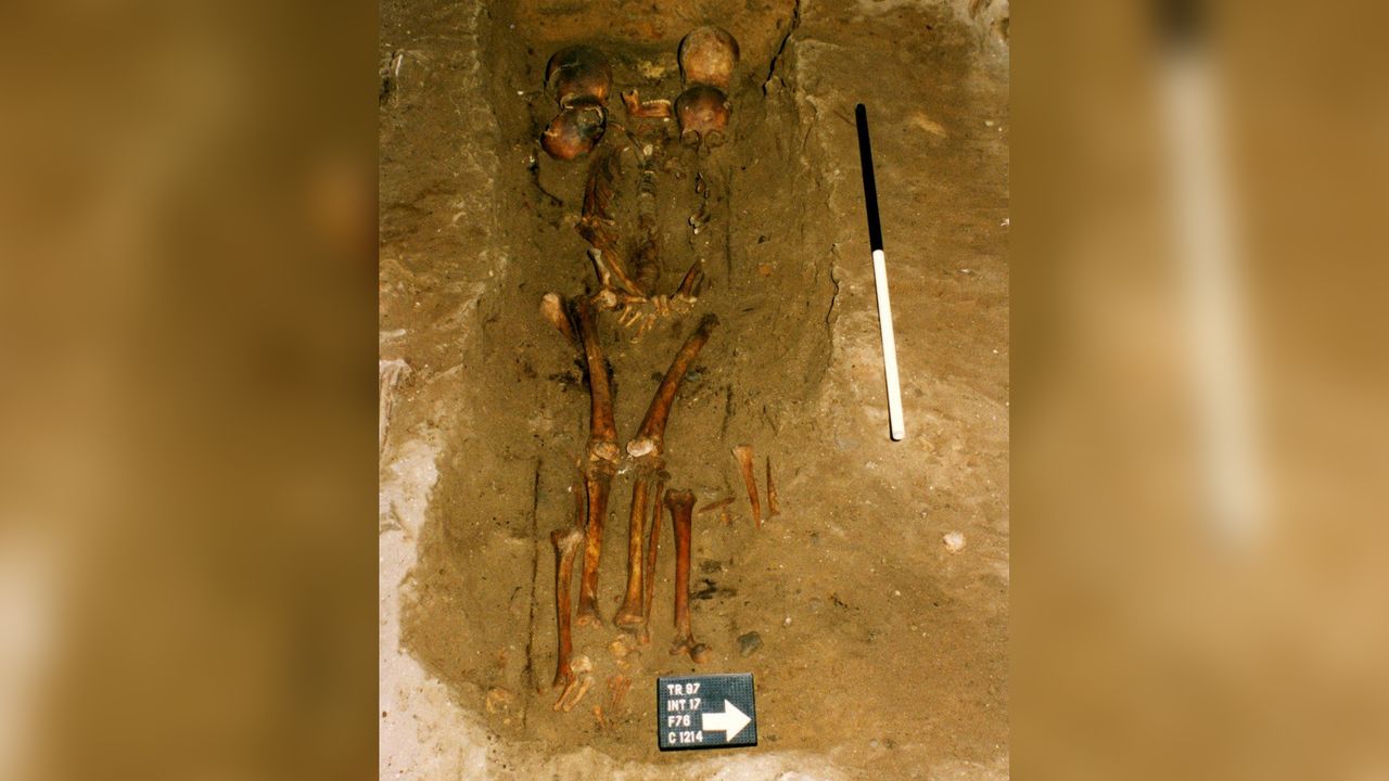 The six skulls of the "Six-Headed Chief" were found in a medieval grave in the Scottish Highland region of Easter Ross. Scientists have discovered most of the skulls came from relatives.