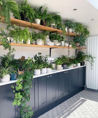 Navy boot room idea by Mo Hussen with plants