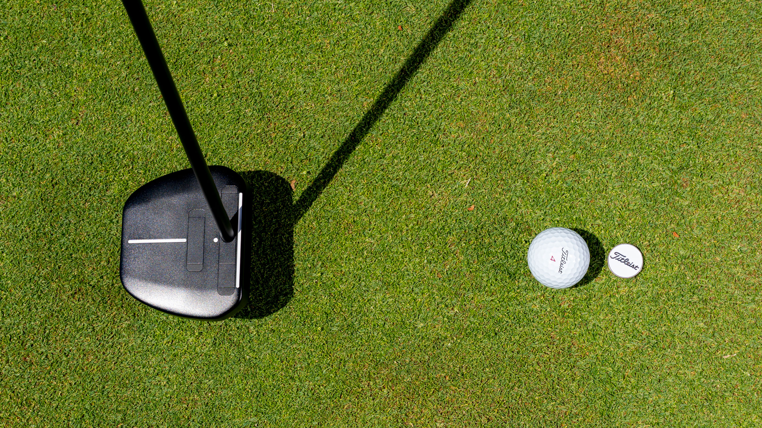 Mallet putter