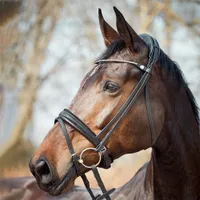 Finesse Cayenne Flash Bridle | 30% off at RedpostWas &pound;272.30 Now &pound;389