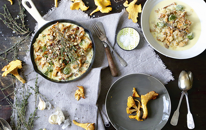 Scottish girolle mushrooms