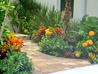 front yard landscaped with tropical flowers.