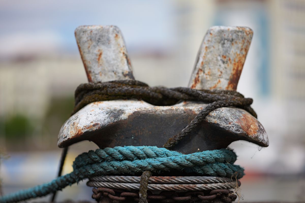 Sigma 85mm f/1.2 DG Art sample image