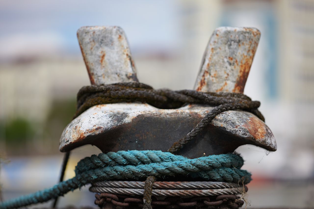 Sigma 85mm f/1.2 DG Art sample image