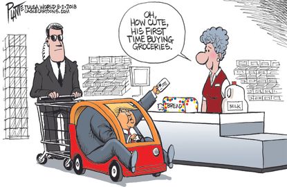 Political cartoon U.S. Trump groceries ID child voter identification store