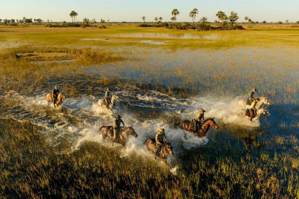 African Horse Safaris