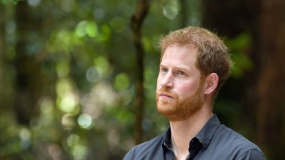 Prince Harry opens up