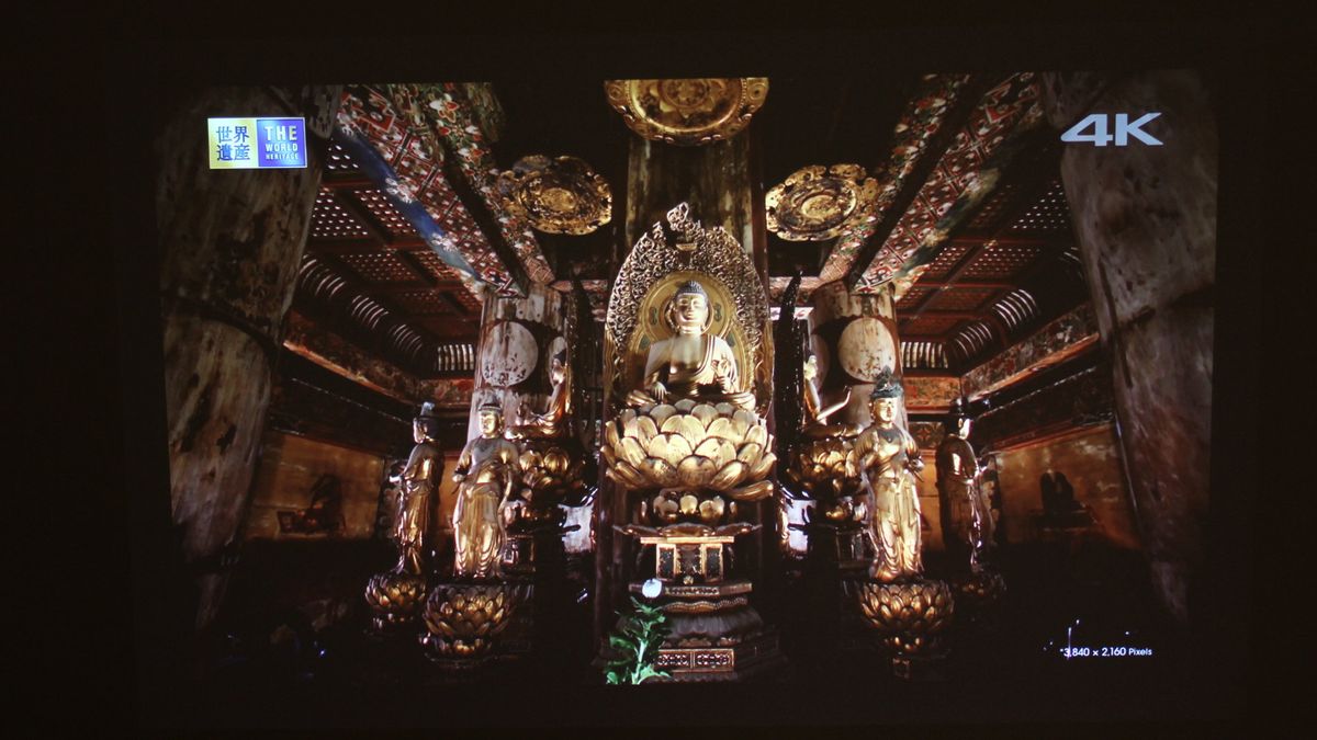 Projector sample image
