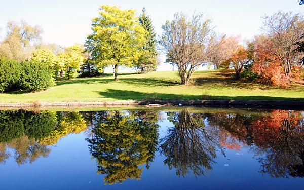 It was a spectacular Autumn day in Toronto.