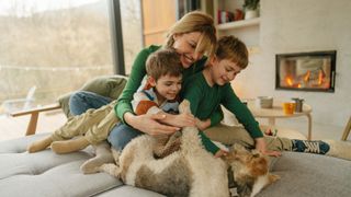 Dog on the sofa with children and woman