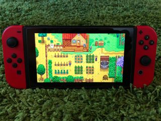 Stardew Valley on the Switch