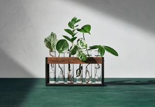 Hilton Carter for Target plant stand