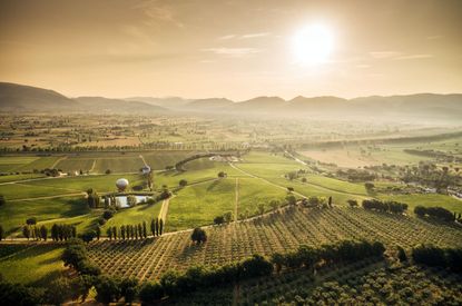Arnaldo Caprai estate with balloons