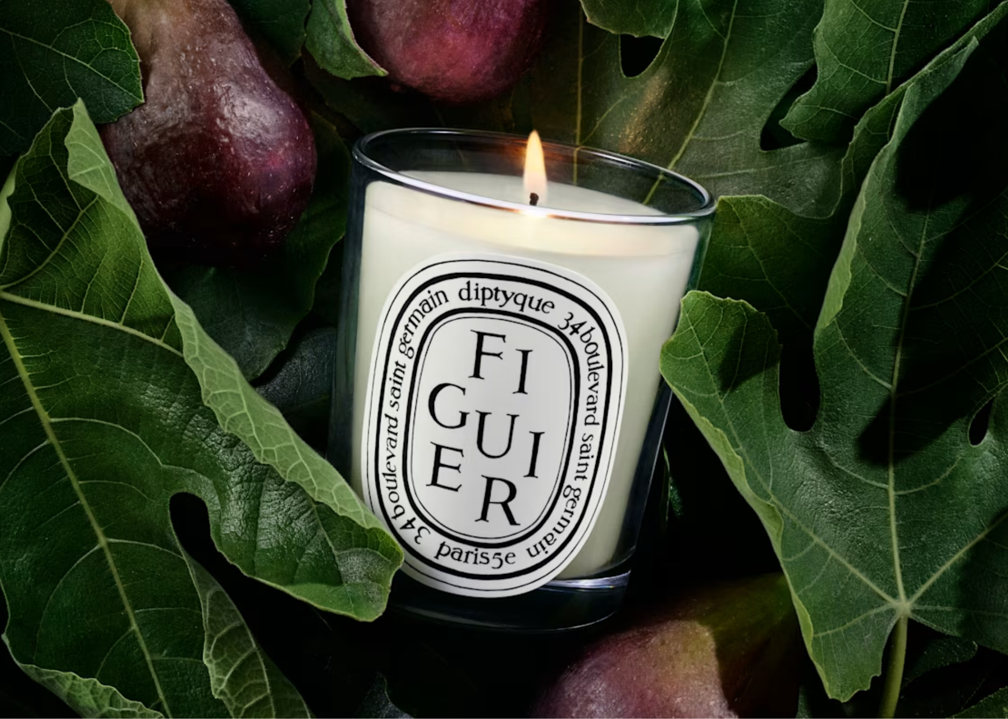 a fig tree diptyque candle in amongst some leaves and fig fruits