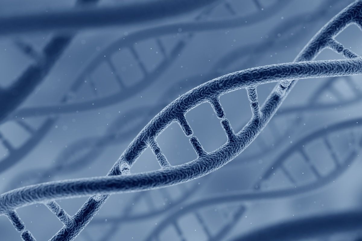 Model of DNA.