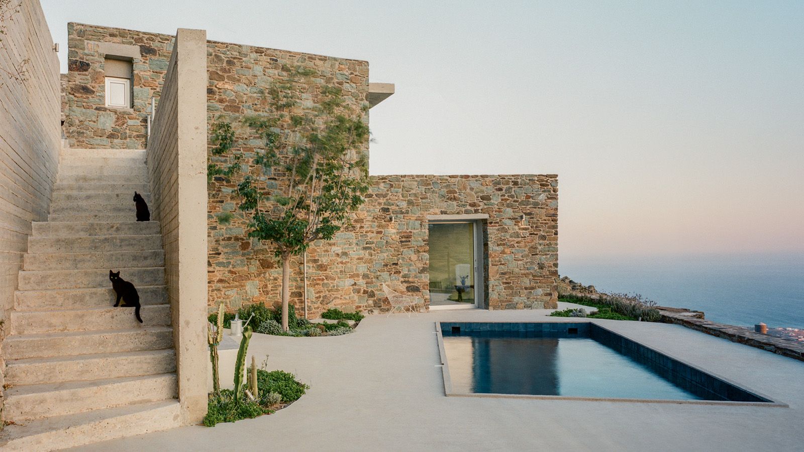tinos house terrace with swimming pool and cats on the stairs