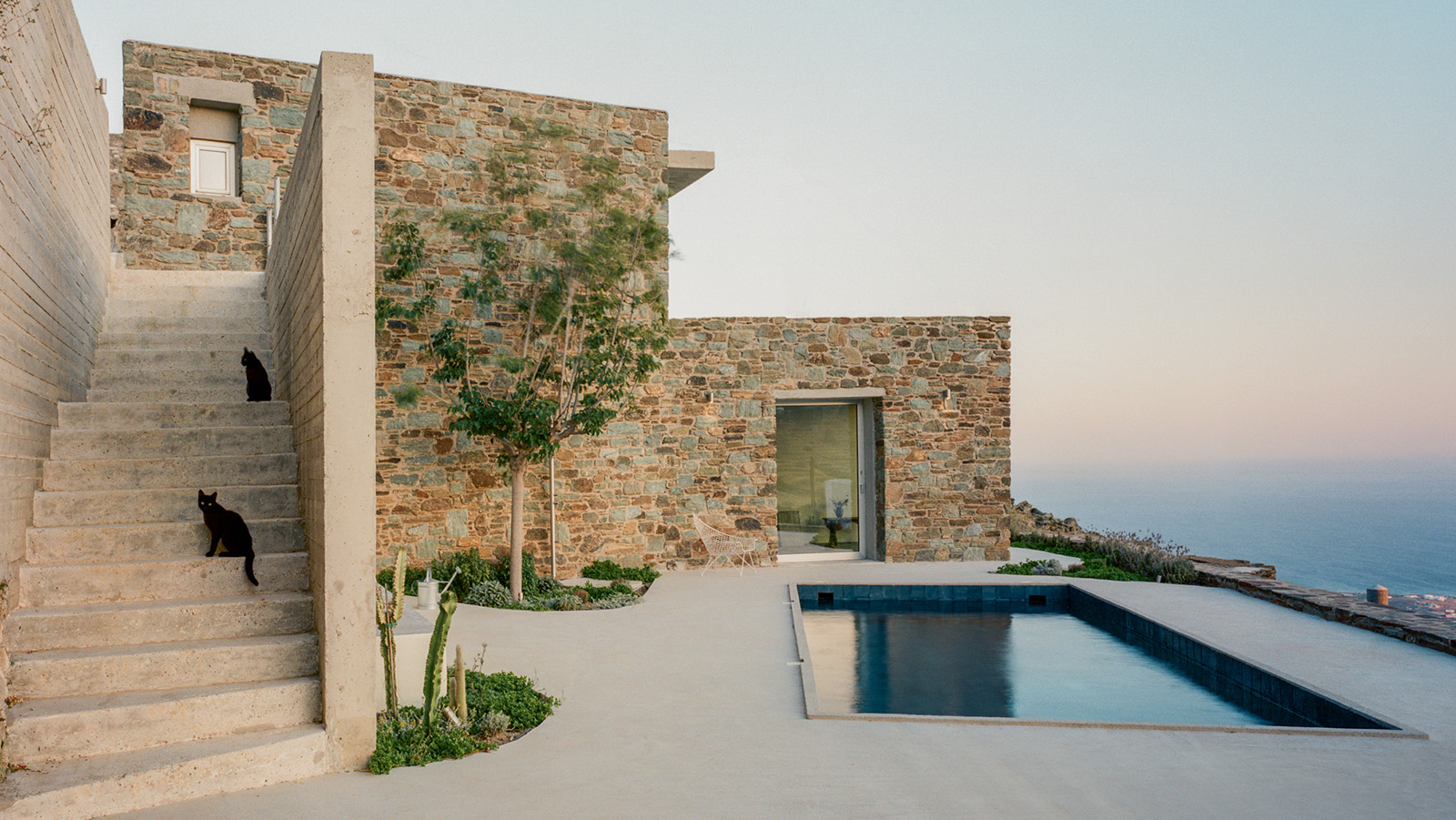 tinos house terrace with swimming pool and cats on the stairs