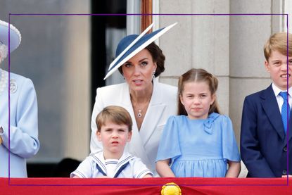 Kate Middleton 'shielding' Louis from 'national treasure' status 