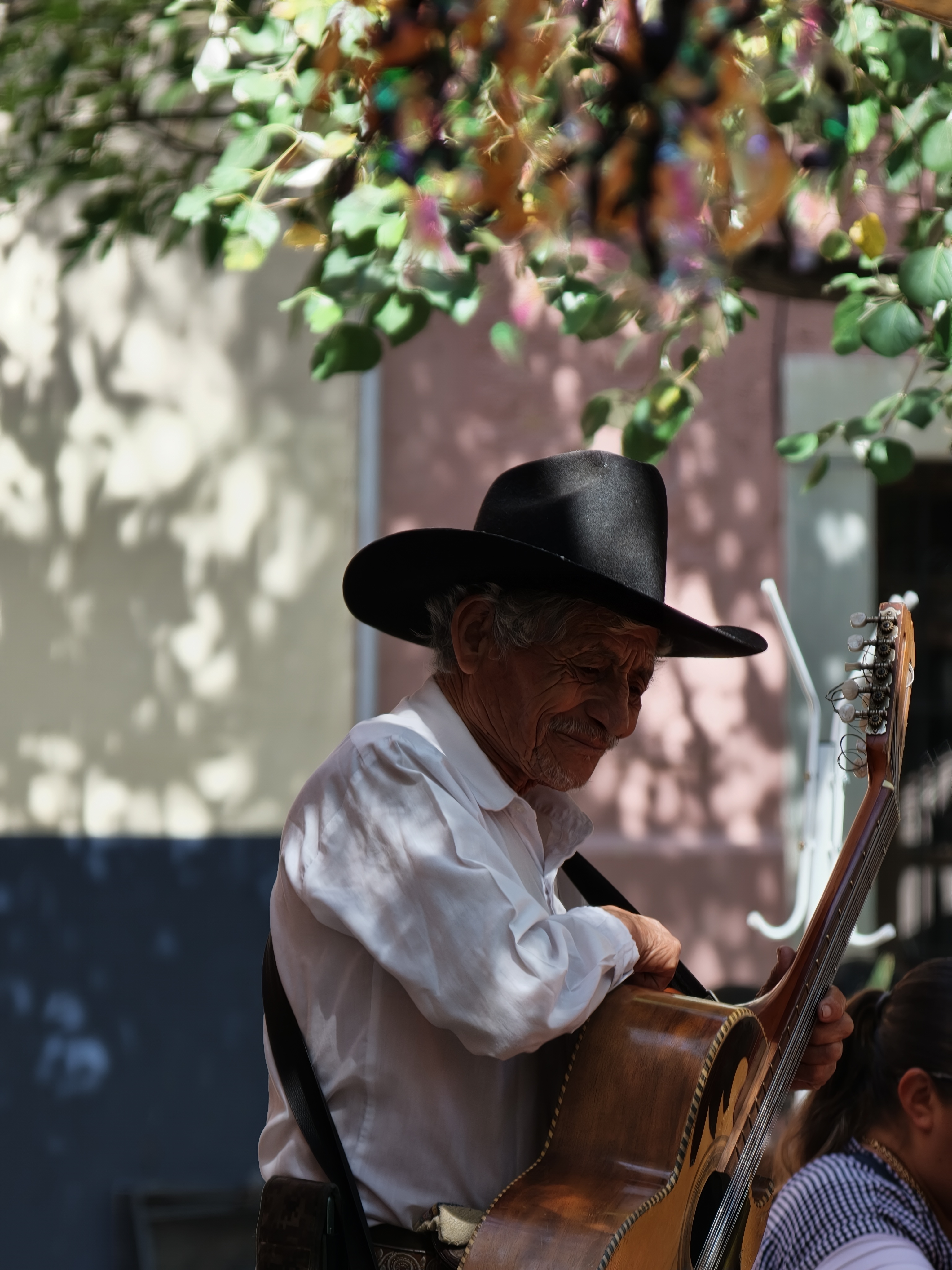 A cowboy hat wearing guitar player in shadow