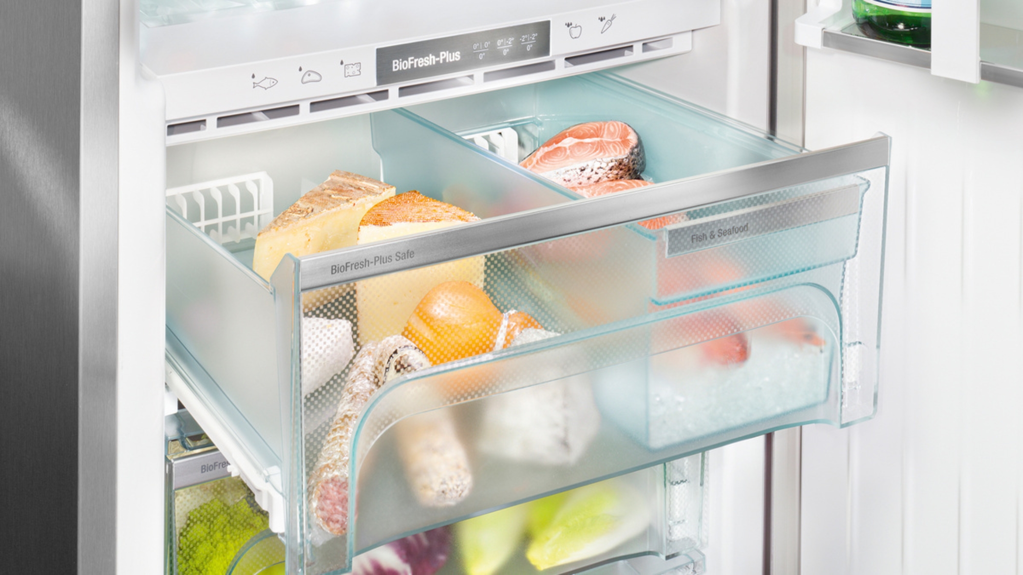 biofresh fridge safes in a fridge