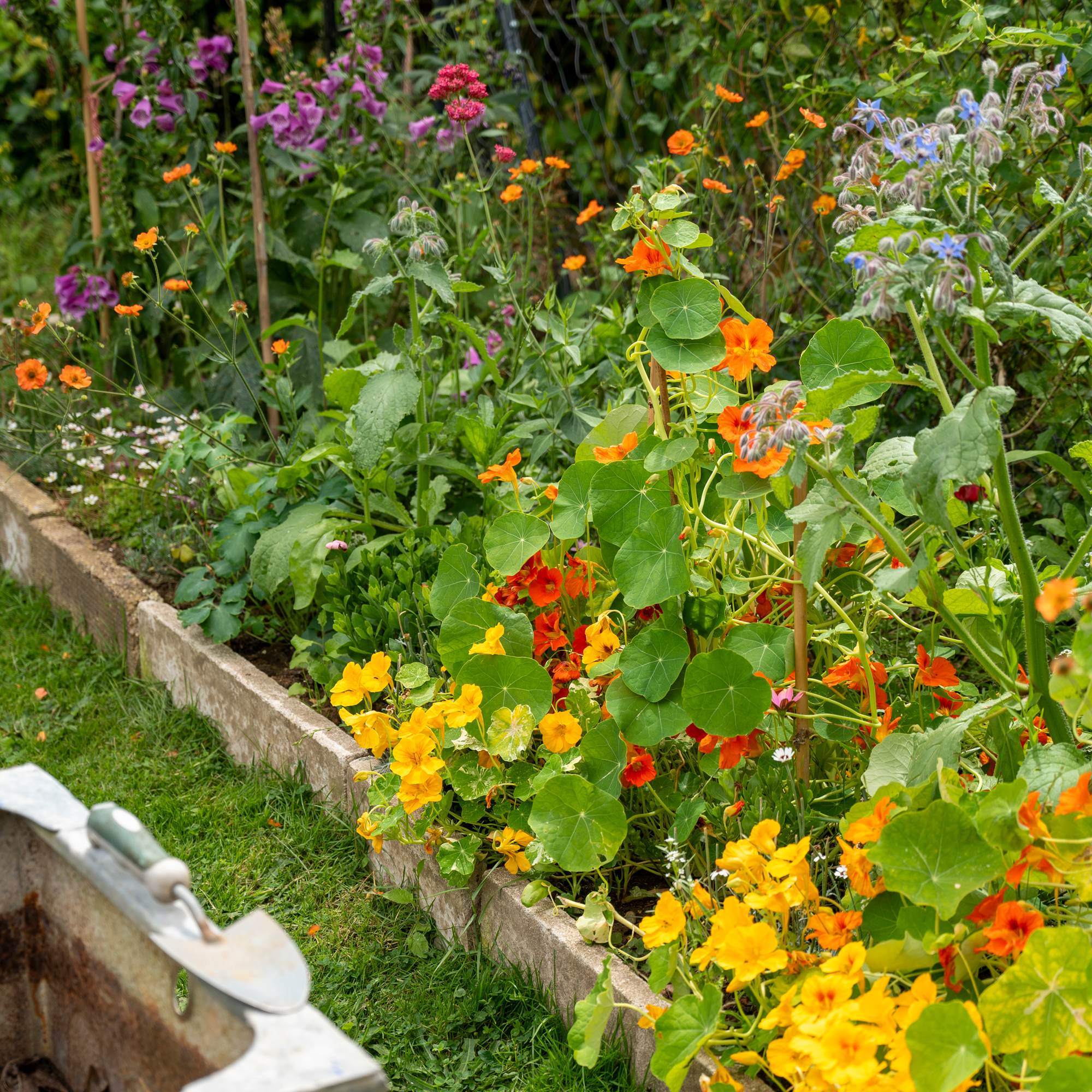 colourful flowerbeds in pink, yellow, orange and red