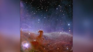 Euclid's view of Barnard 33 the Horsehead Nebula.