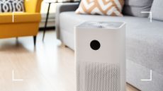 picture of air purifier in living room next to a sofa