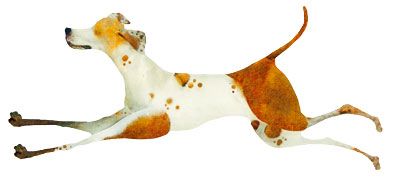 Animal designs on the march: Owls, elephants and monkeys no longer just ...