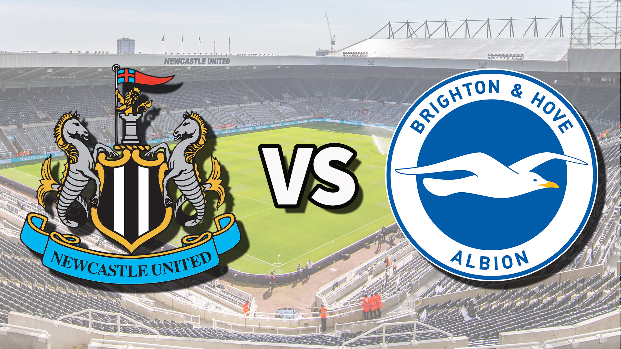 Newcastle United vs Brighton