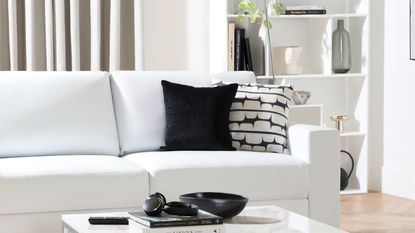 white sofa in white minimalist living room with coffee table and shelves