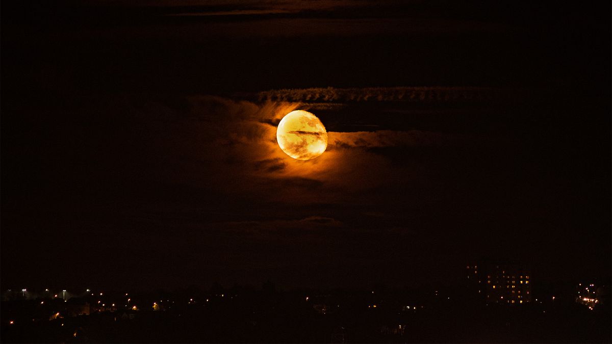 Nikon Z 70-200 f2/8 sample image