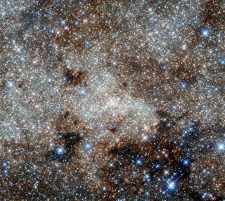 Milky Way Towards Sagittarius