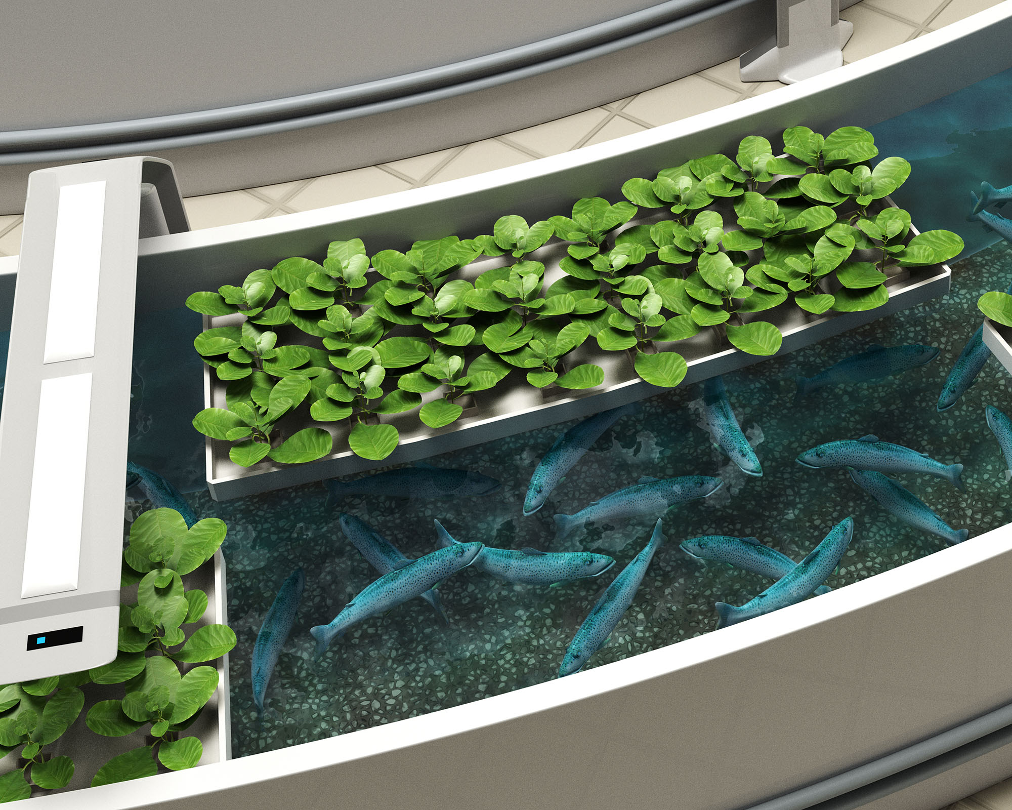 Commercial aquaponics tank
