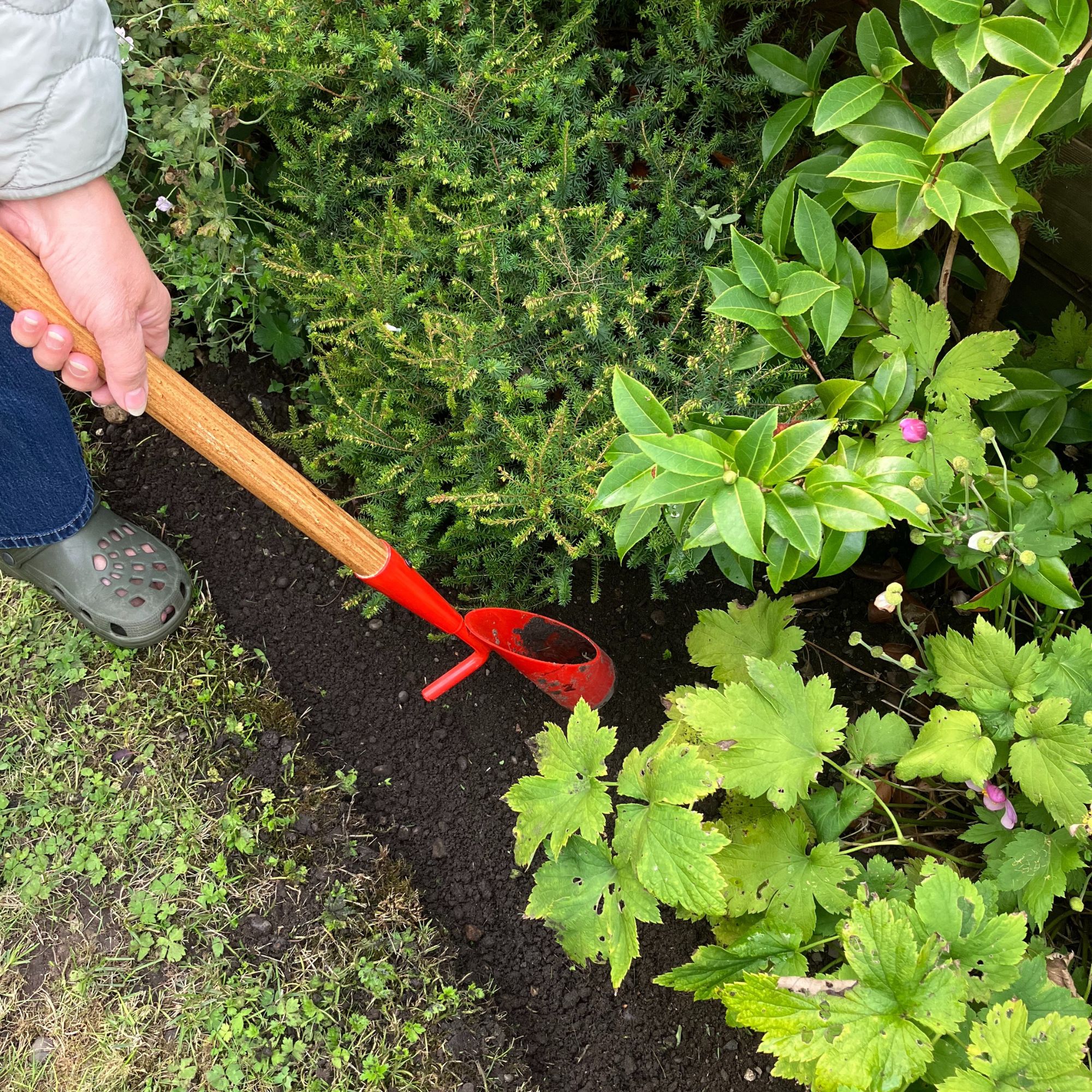 QVC long-handled bulb planter being used in flower bed