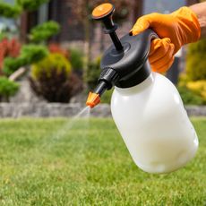 lawn being sprayed with liquid pump spray for aeration