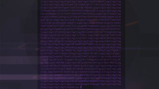 A crazy string of text that players were able to translate to form Sombra's ASCII skull.